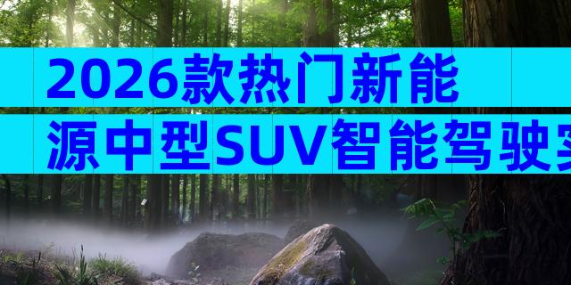 2026款热门新能源中型SUV智能驾驶实测 购车报价与配置全解析